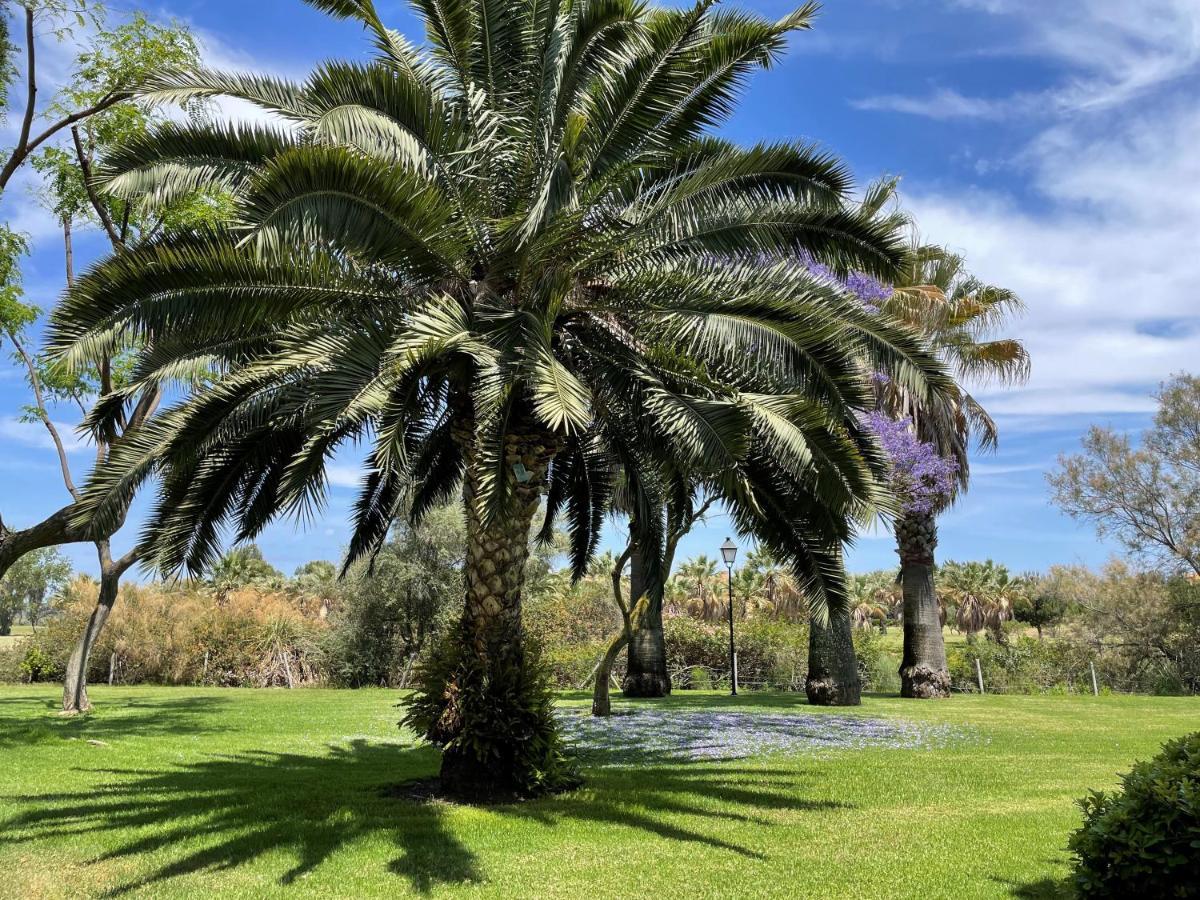 Golf, Kitesurf, Tennis, Paddle, Free Bicycles - Apartment Andalusia イスラ・カネラ エクステリア 写真